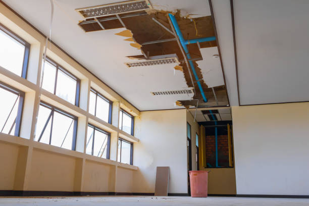 Best Fire Damage Restoration  in Elkridge, MD