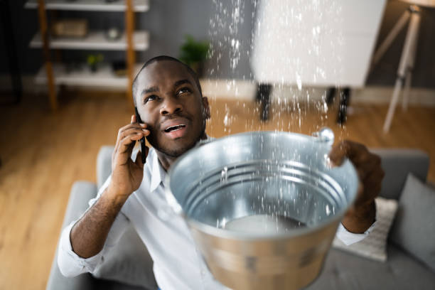 Best Basement water damage restoration  in Elkridge, MD