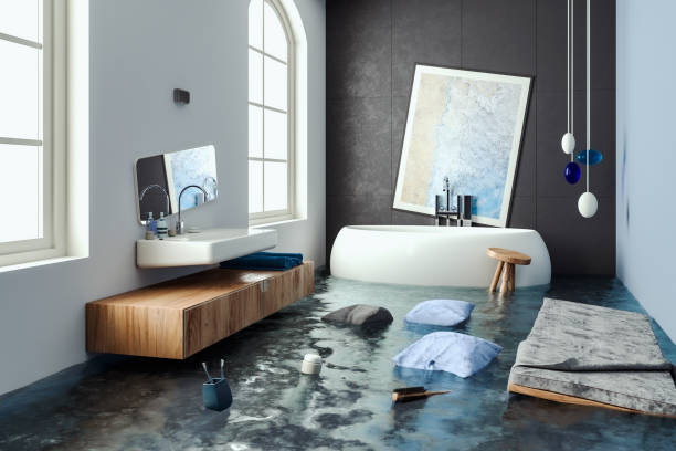 Best Flooded house restoration  in Elkridge, MD