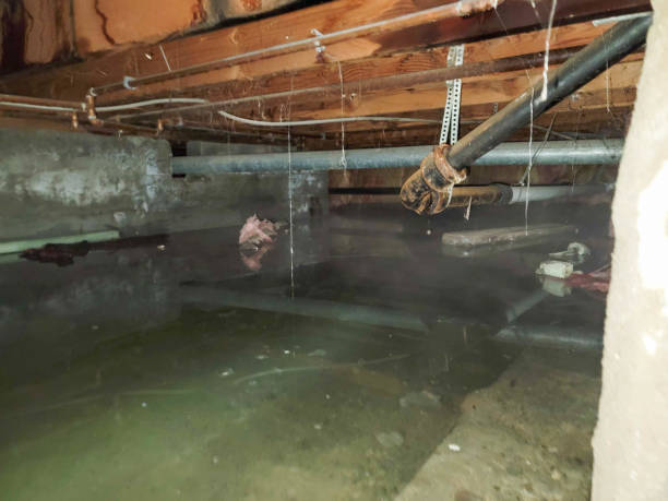 Best Residential water damage restoration  in Elkridge, MD