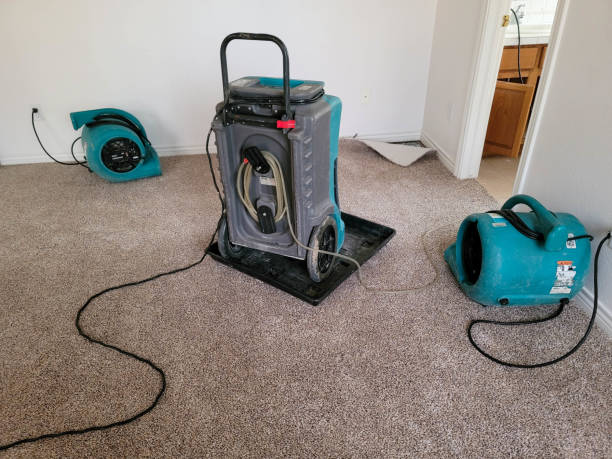 Best Water damage restoration specialists  in Elkridge, MD