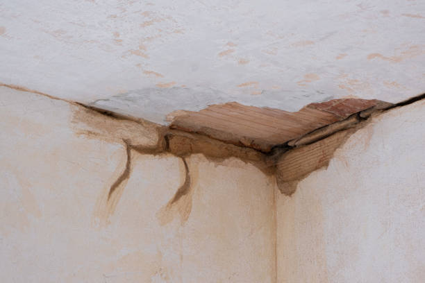 Best Ceiling water damage repair  in Elkridge, MD