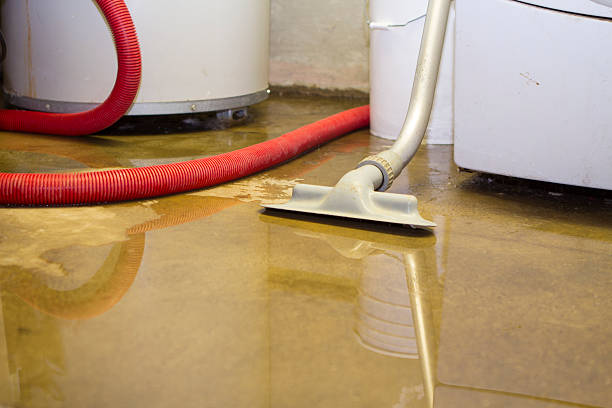 Best Flood damage cleanup  in Elkridge, MD