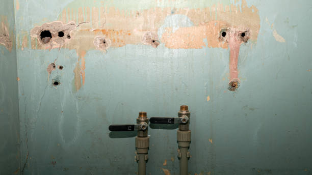 Best Water damage restoration near me  in Elkridge, MD