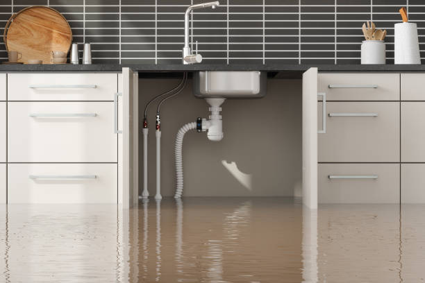 Best Residential water damage restoration  in Elkridge, MD