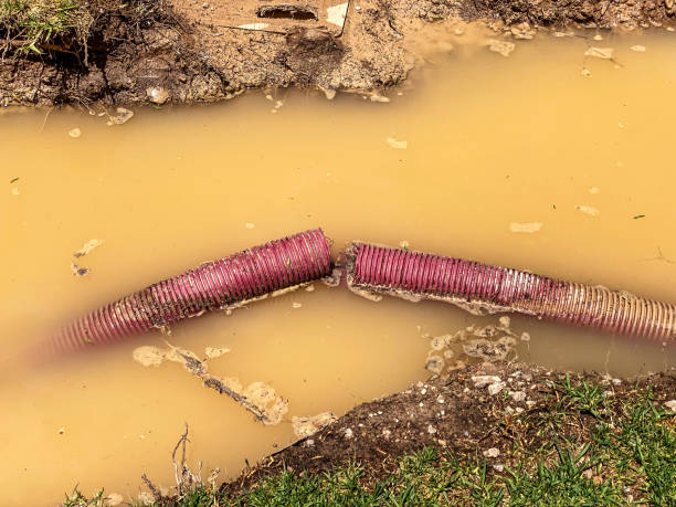 Best Water damage restoration near me  in Elkridge, MD